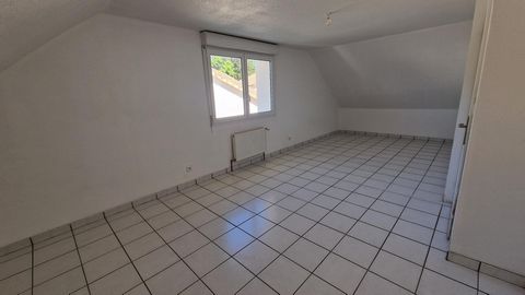 photo no. 10