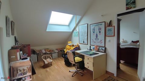 photo no. 9