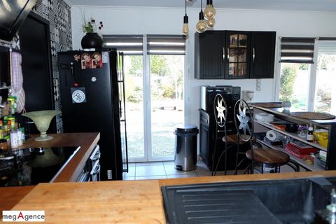 photo no. 10