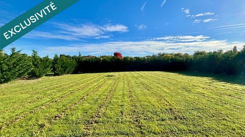 Fronton - Terrain constructible de 1307 m² à viabiliser