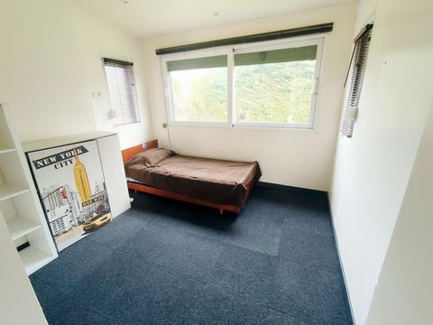 photo no. 11