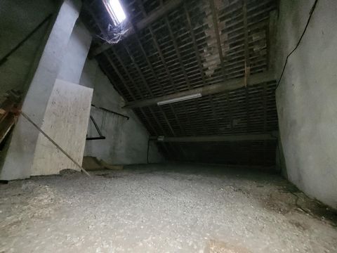 photo no. 18
