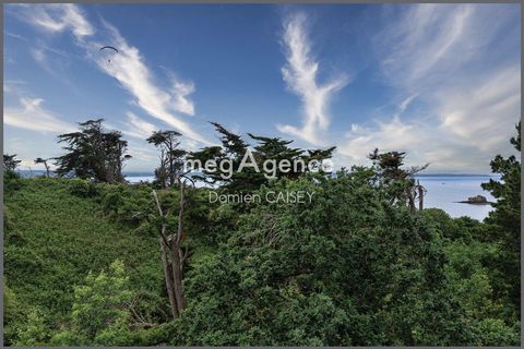 photo no. 13
