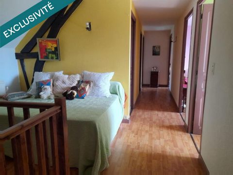 photo no. 6