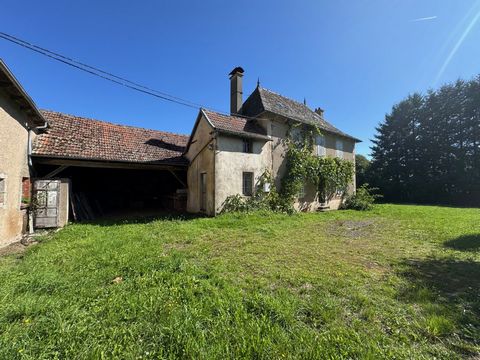 photo no. 2