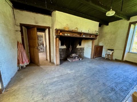 photo no. 5