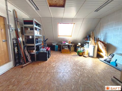 photo no. 9