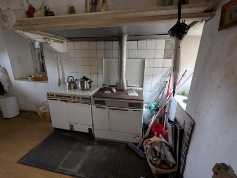 photo no. 6