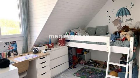 photo no. 11