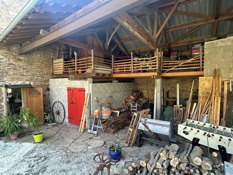 photo no. 14