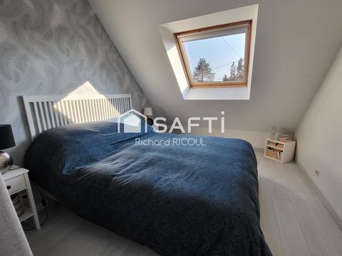 photo no. 15