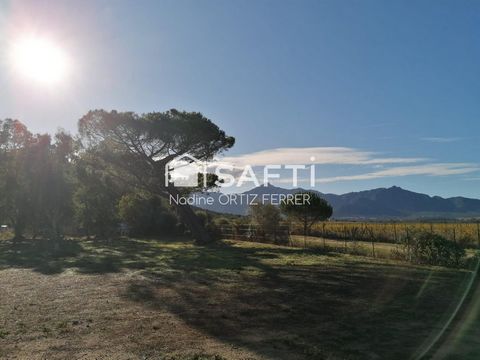 photo no. 15