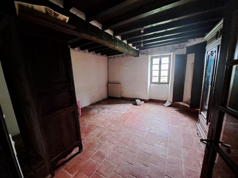 photo no. 6