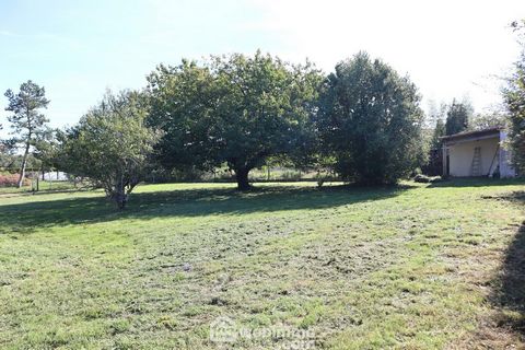 photo no. 19