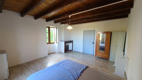 photo no. 6