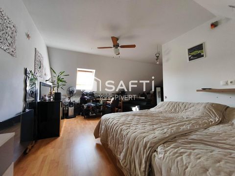 photo no. 12
