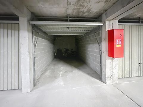photo no. 10