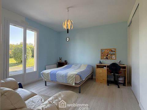 photo no. 7