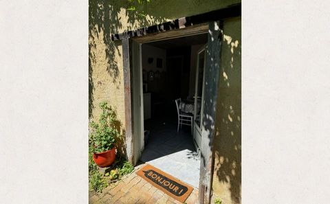 photo no. 8