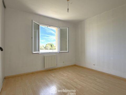 photo no. 12